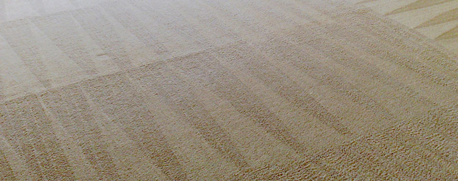 houston-carpet-cleaning-1
